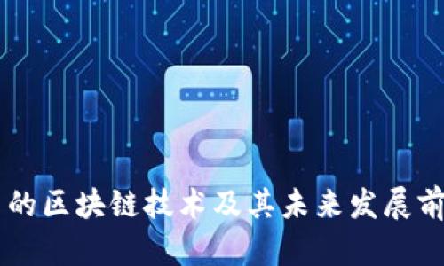 币卡币的区块链技术及其未来发展前景解析