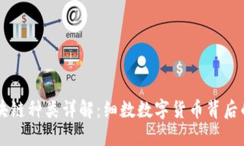 币圈的区块链种类详解:细数数字货币背后的技术基础