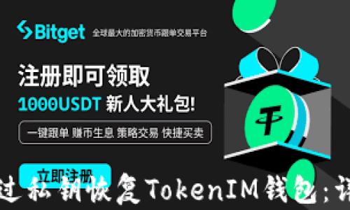 如何通过私钥恢复TokenIM钱包:详细指南