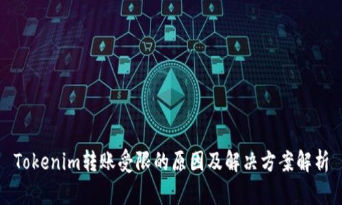 Tokenim转账受限的原因及解决方案解析