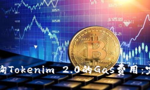 如何查询Tokenim 2.0的Gas费用:完整指南