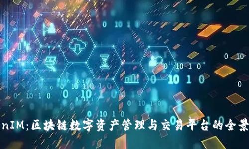 TokenIM：区块链数字资产管理与交易平台的全景解析