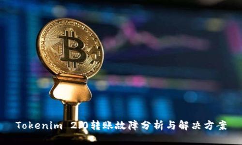 Tokenim 2.0转账故障分析与解决方案