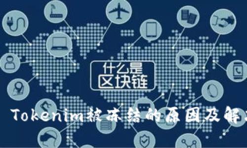 ### Tokenim被冻结的原因及解决方案