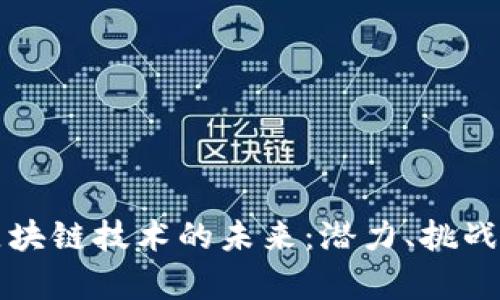 比特币与区块链技术的未来：潜力、挑战与应用前景