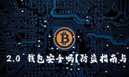 Tokenim 2.0 钱包安全吗?防盗指南与风险分析