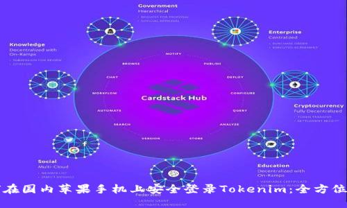 如何在国内苹果手机上安全登录Tokenim:全方位指南