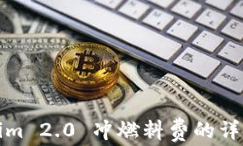 Tokenim 2.0 冲燃料费的详细指南