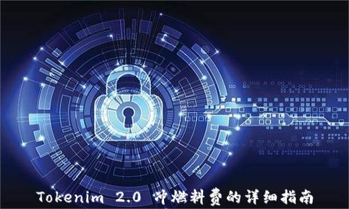 Tokenim 2.0 冲燃料费的详细指南