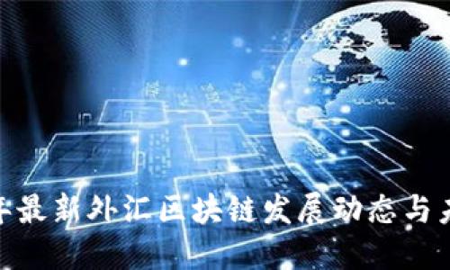   2023年最新外汇区块链发展动态与未来展望 