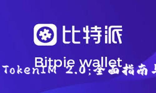 如何验证 TokenIM 2.0:全面指南与实用技巧