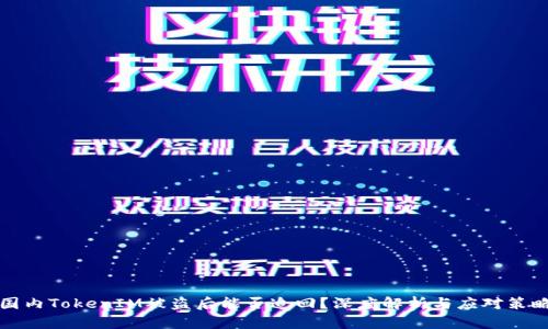 国内TokenIM被盗后能否追回?深度解析与应对策略