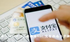 如何将TokenIM 2.0转换为BSC:完整指南与步骤解析