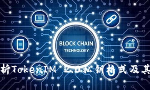 深入解析TokenIM 2.0私钥格式及其安全性