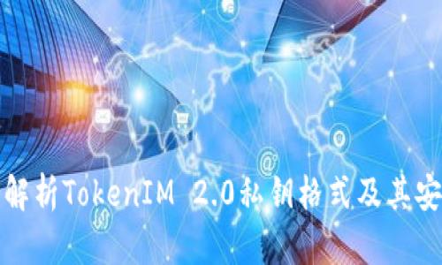 深入解析TokenIM 2.0私钥格式及其安全性