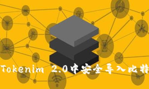 如何在Tokenim 2.0中安全导入比特币私钥
