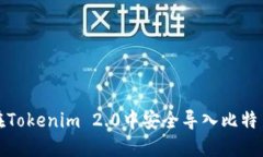 如何在Tokenim 2.0中安全导入比特币私钥