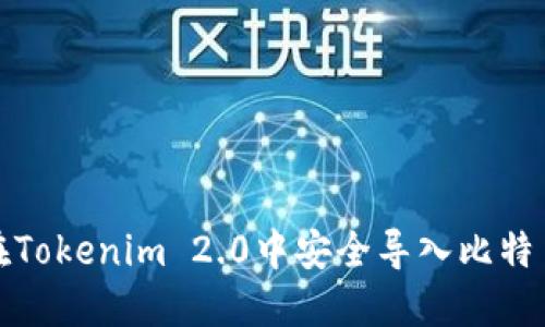 如何在Tokenim 2.0中安全导入比特币私钥