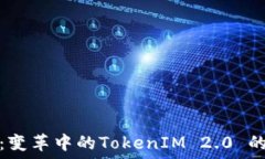   中炎投资：变革中的TokenIM 2.0 的未来之路