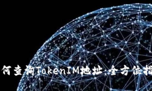 如何查询TokenIM地址:全方位指南