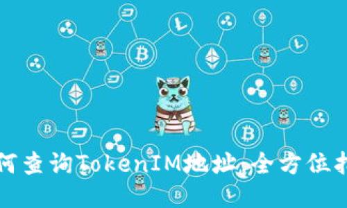 如何查询TokenIM地址:全方位指南