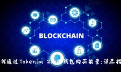 如何通过Tokenim 2.0冷钱包购买能量:详尽指南
