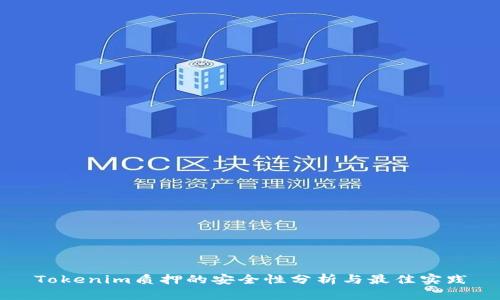 Tokenim质押的安全性分析与最佳实践