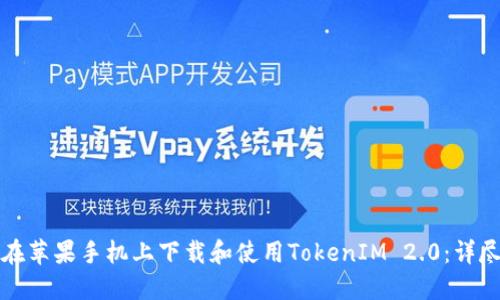 如何在苹果手机上下载和使用TokenIM 2.0:详尽指南