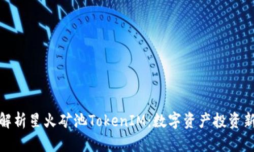 深入解析星火矿池TokenIM:数字资产投资新机遇