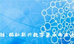 布币区块链：揭秘新兴数字货币的未来发展趋势