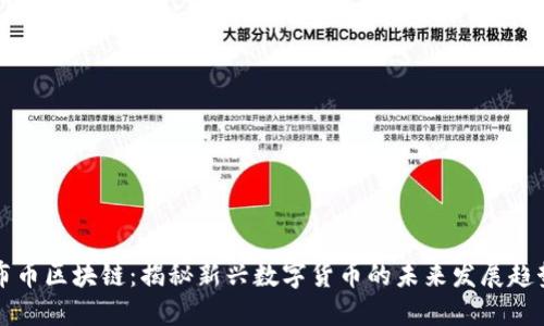 布币区块链:揭秘新兴数字货币的未来发展趋势