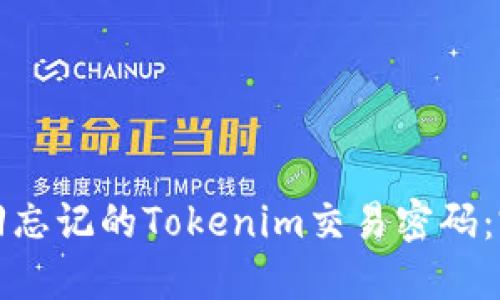 如何找回忘记的Tokenim交易密码:完整指南