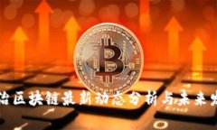 国家整治区块链最新动态分析与未来发展趋势