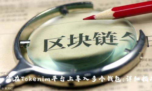 如何在Tokenim平台上导入多个钱包:详细指南