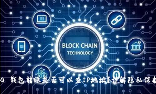 TokenIM 2.0 钱包转账是否可以查IP地址?详解隐私保护与追踪机制