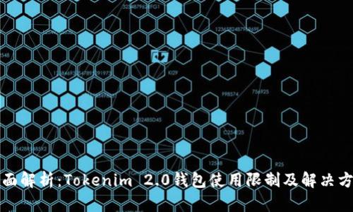 全面解析：Tokenim 2.0钱包使用限制及解决方案