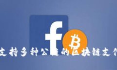 Tokenim:支持多种公链的区块链支付解决方案
