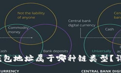 Tokenim 2.0 钱包地址属于哪种链类型?详解其特性与应用