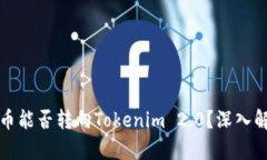 ### Pi币能否转向Tokenim 2.0?深入解析与展望