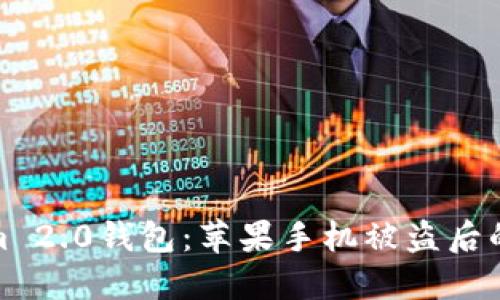 如何保护你的Tokenim 2.0钱包:苹果手机被盗后的应急措施与安全建议