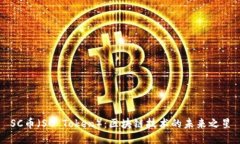 SC币(SC Token):区块链技术的未来之星