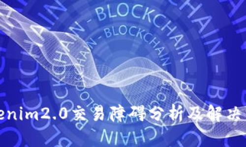 Tokenim2.0交易障碍分析及解决方案