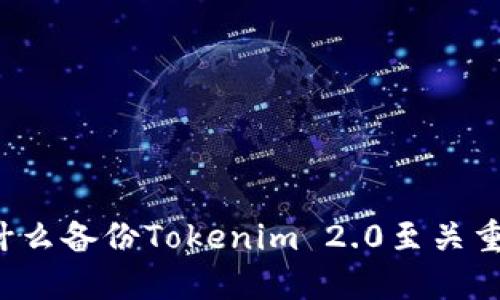 为什么备份Tokenim 2.0至关重要？