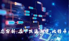 区块链市场动态分析:在下跌浪潮中,比特币为