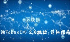 如何查询TokenIM 2.0地址:详细指南和技巧