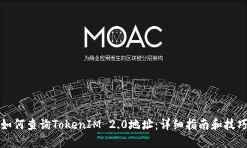 如何查询TokenIM 2.0地址:详细指南和技巧