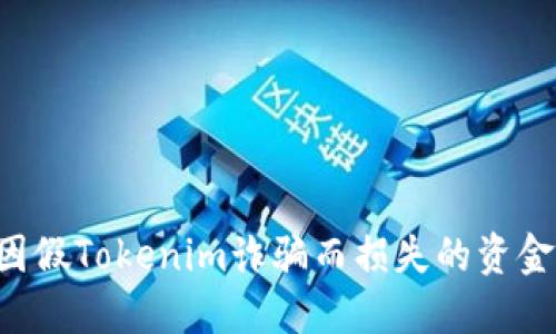 如何追回因假Tokenim诈骗而损失的资金:详细指南