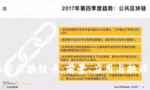 上海市区块链币:前景、应用与挑战解读