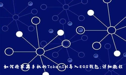 如何将苹果手机的TokenIM导入EOS钱包:详细教程