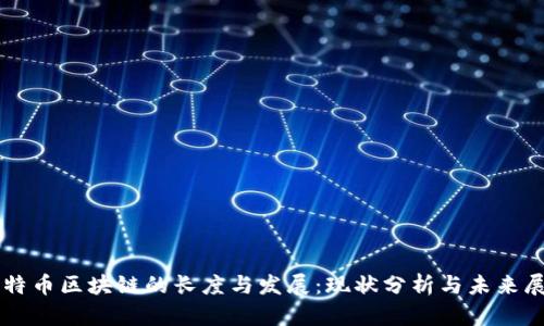 比特币区块链的长度与发展:现状分析与未来展望